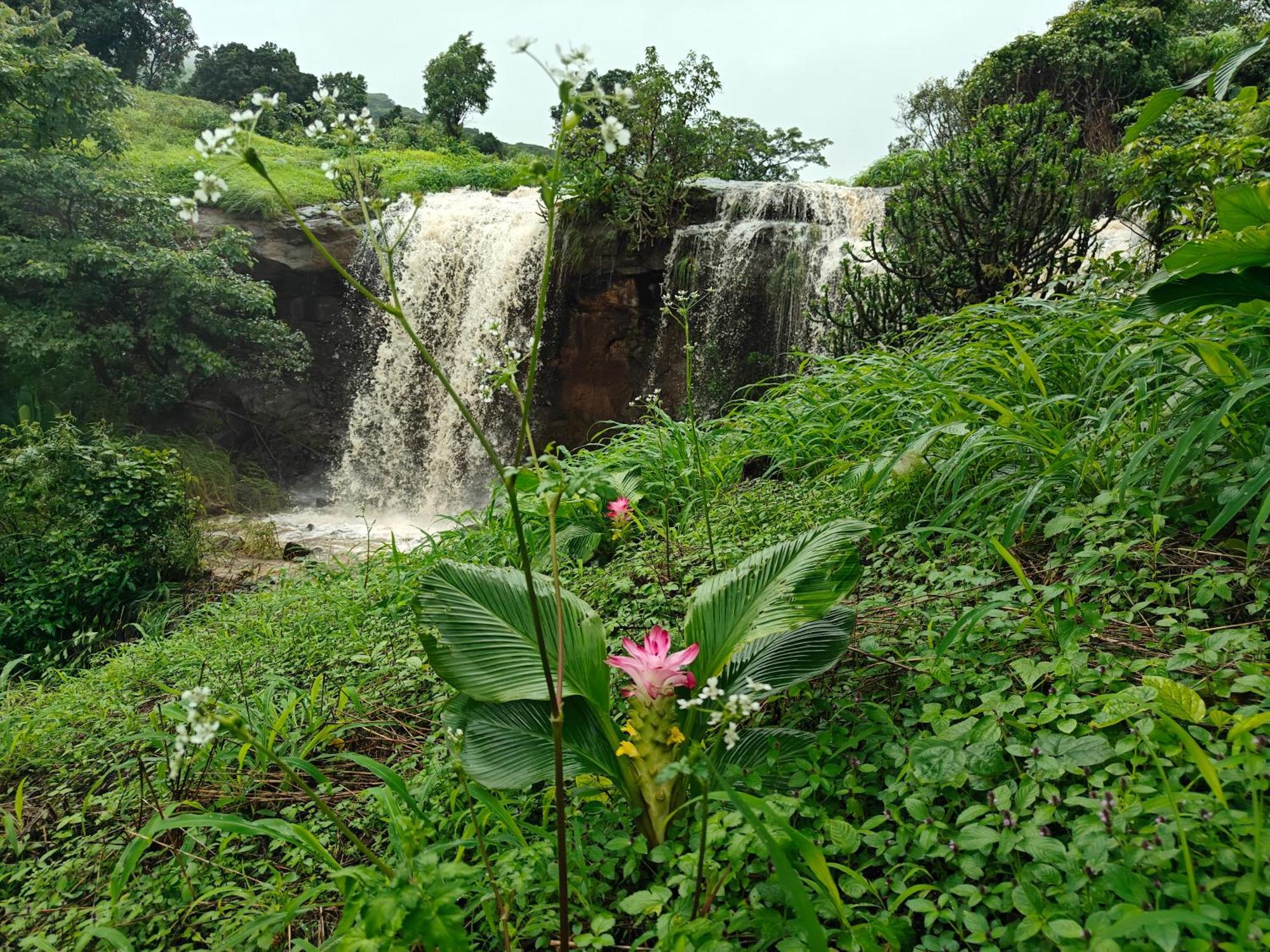 Shinde'S Tikona Valley Farm Villa Púna Kültér fotó